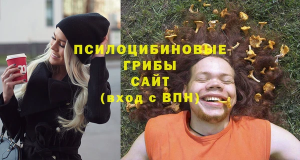 дмт Алзамай