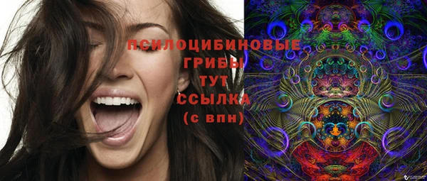 дмт Алзамай