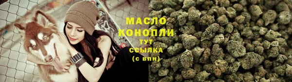 дмт Алзамай