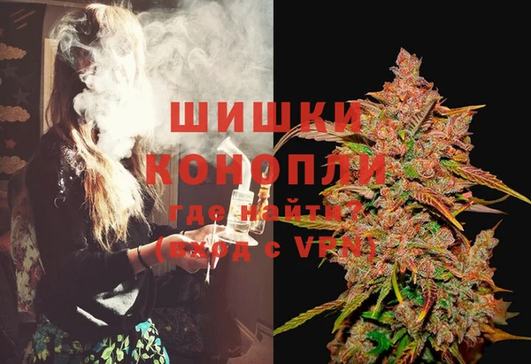 дмт Алзамай